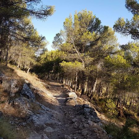 Apartamentos Rurales La Dehesa Del Acebuche Jaén Exterior foto