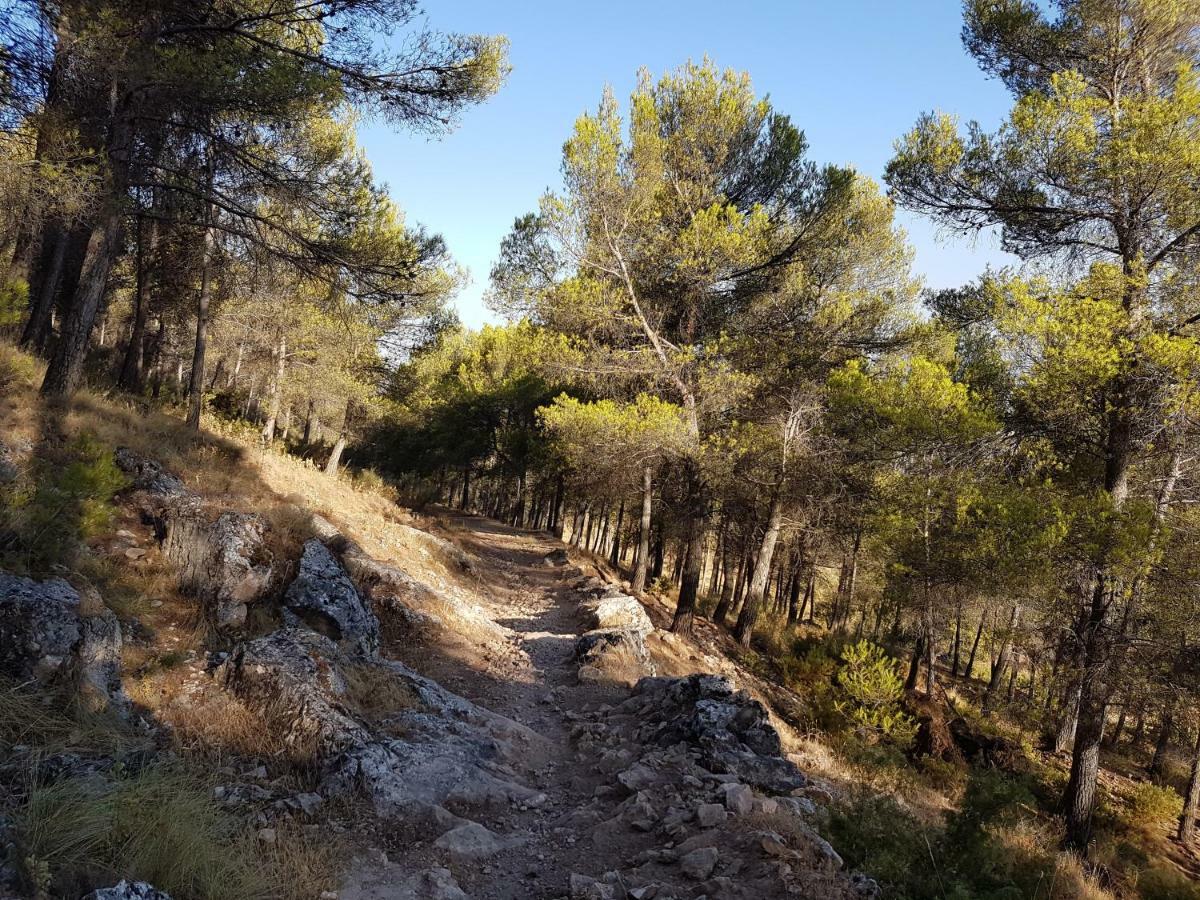 Apartamentos Rurales La Dehesa Del Acebuche Jaén Exterior foto