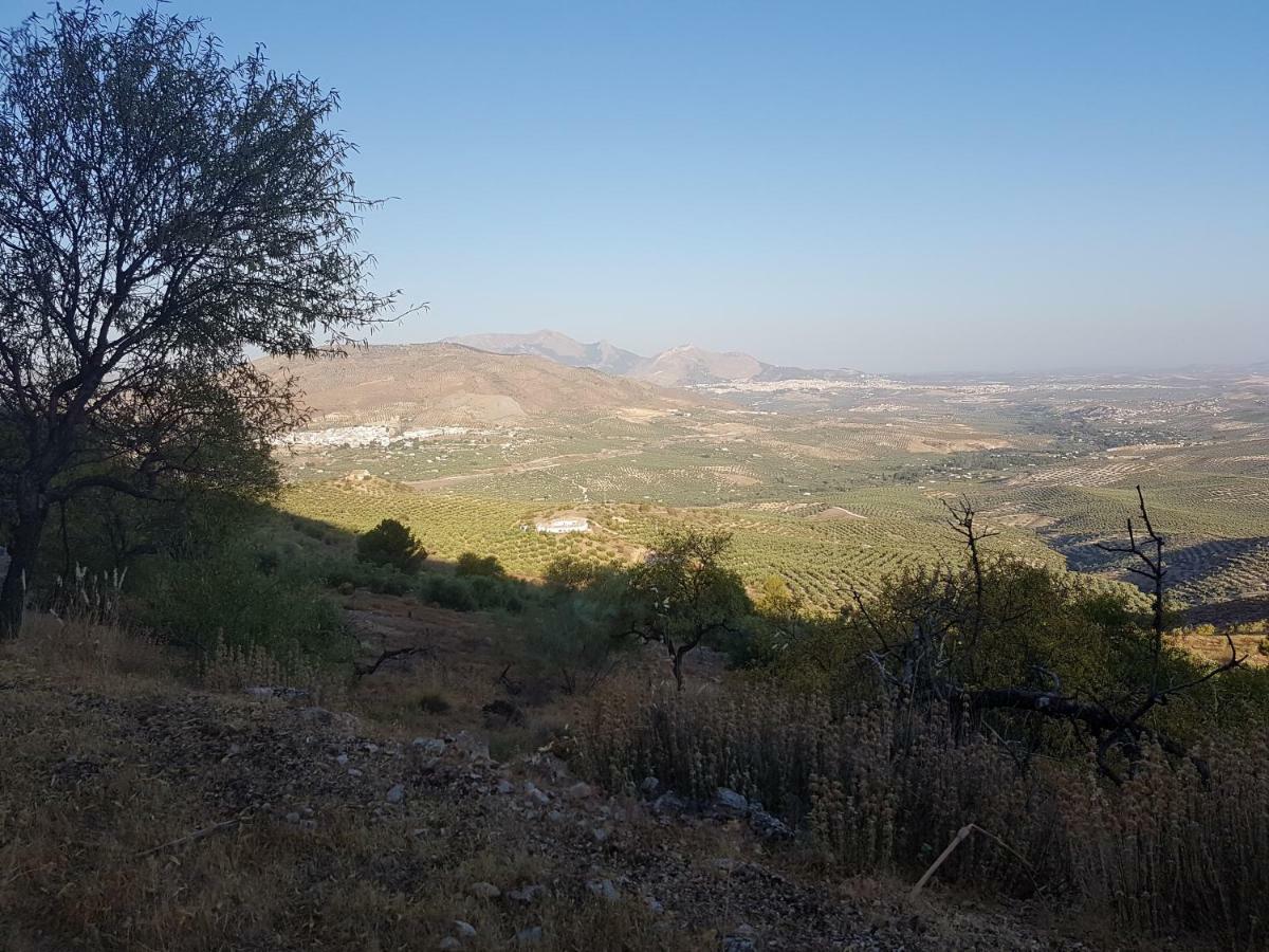Apartamentos Rurales La Dehesa Del Acebuche Jaén Exterior foto